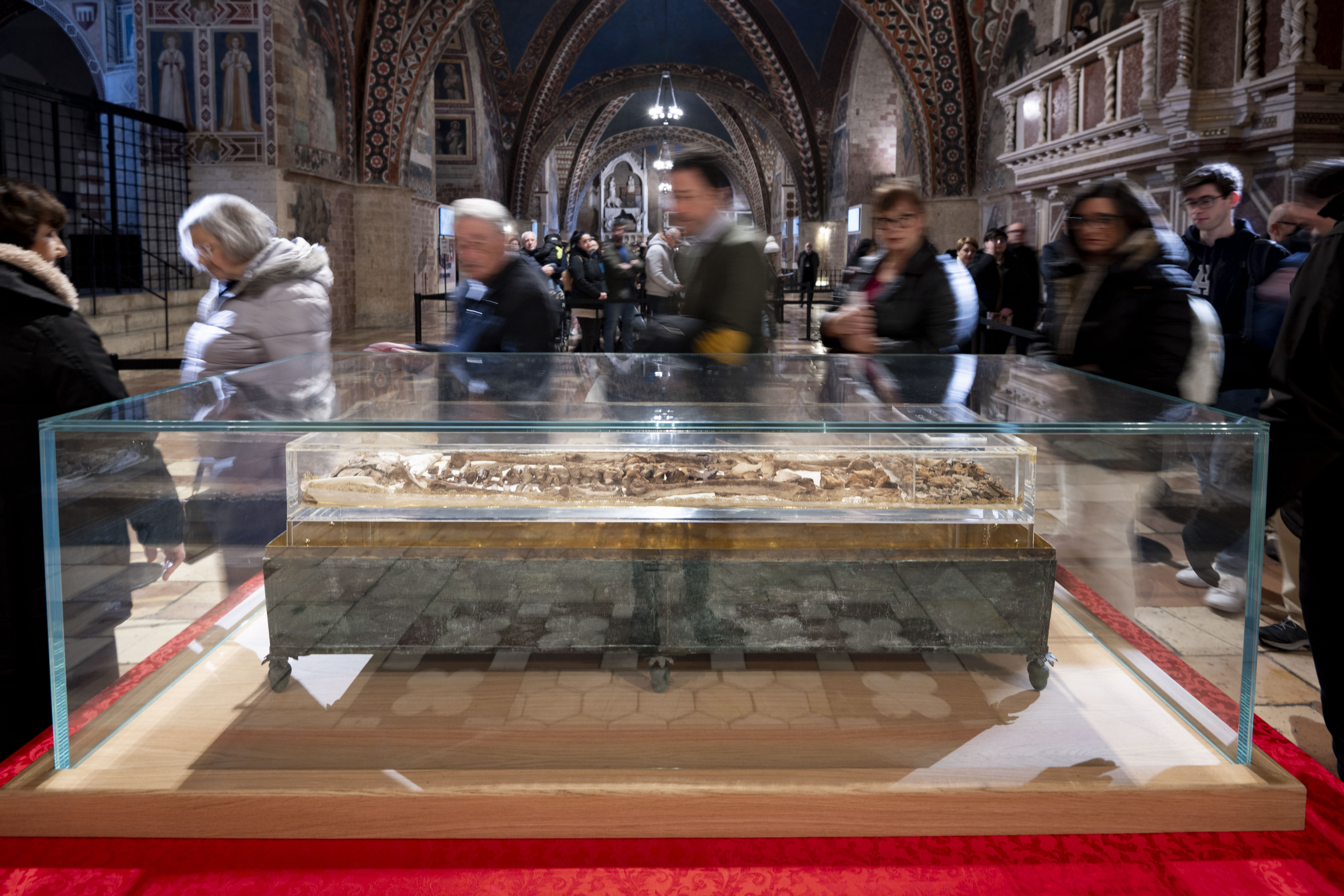 L'ostensione delle spoglie mortali di san Francesco, svoltasi tra febbraio e marzo 2026 ad Assisi / foto Siciliani