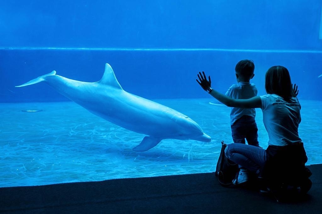 Un bambino in cura all'Istituto Giannina Gaslini in visita all'Acquario con la mamma /Gemma Malerba